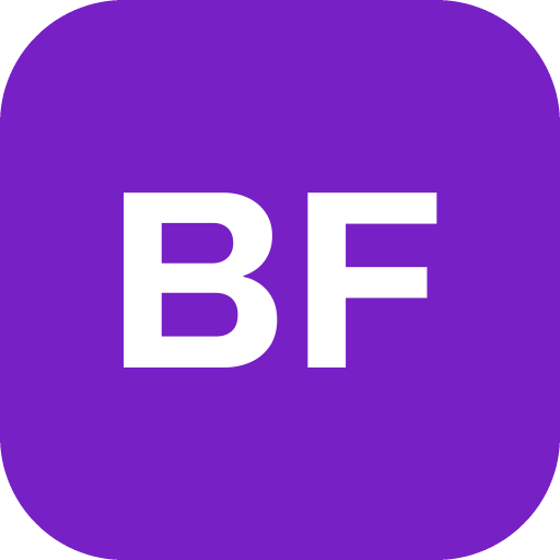 Birmingham Franchise SEO logo
